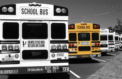 Yellow bus