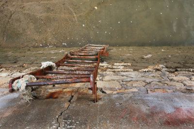 Ladder
