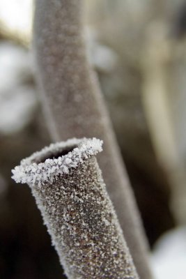 Ice Macro