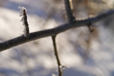 Ice Macro