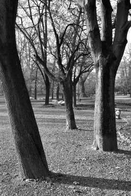 Giardini Indro Montanelli