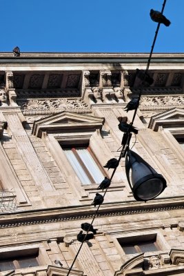 Palazzo Marino and pigeons