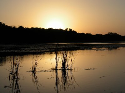 Just a Sunset