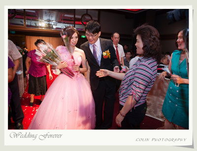 s100-DSC08698-v.jpg