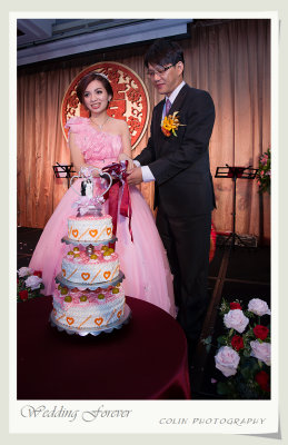 s102-DSC08708-v.jpg