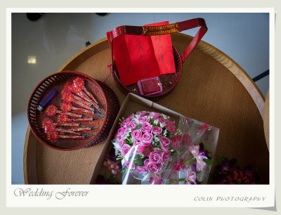s17-DSC08079-v.jpg