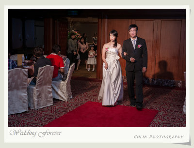 s85-DSC08577-v.jpg
