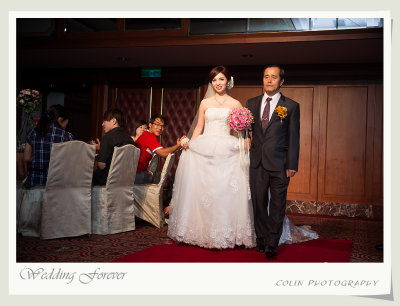 s88-DSC08592-v.jpg