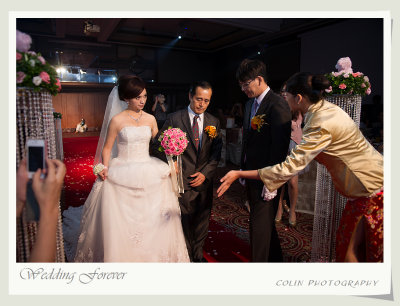s90-DSC08603-v.jpg