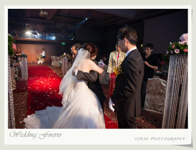 s91-DSC08606-v.jpg