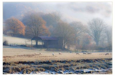Frosty and misty morning.