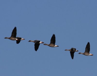 g1/91/964991/3/129433243.Cp7oLqA4.jpg
