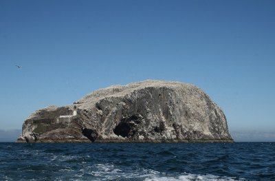 Bass Rock en de Farne Eilanden - Bass Rock and the Farne Islands 