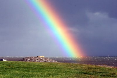 Regenboog - Rainbow