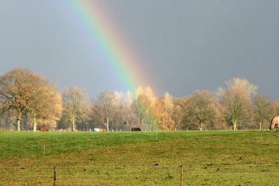 Regenboog - Rainbow