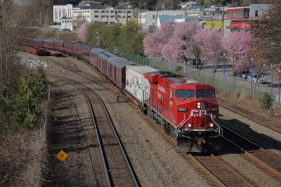 g1/91/978491/3/132220876.RyR2LCVU.jpg