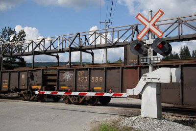 Crossing gates and welded rail