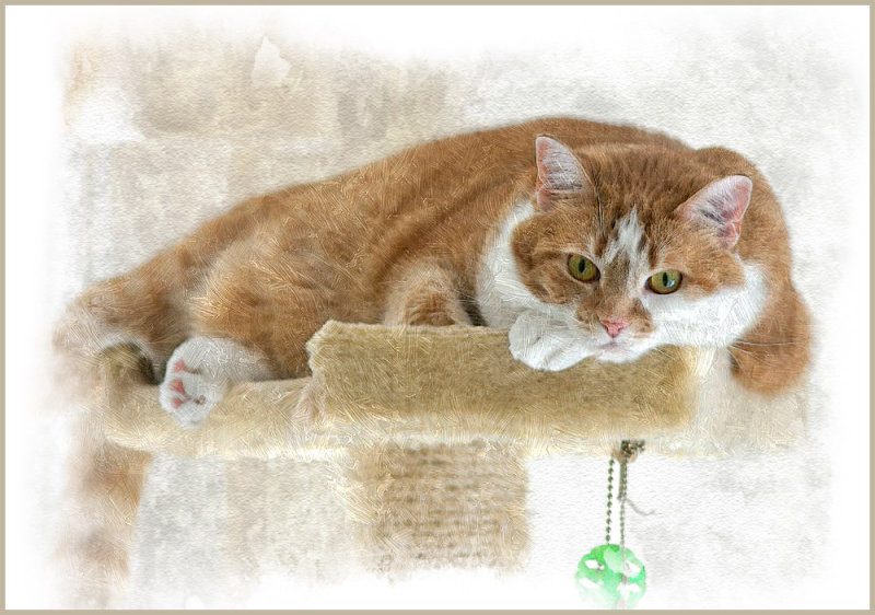 Beegie a la FotoSketcher