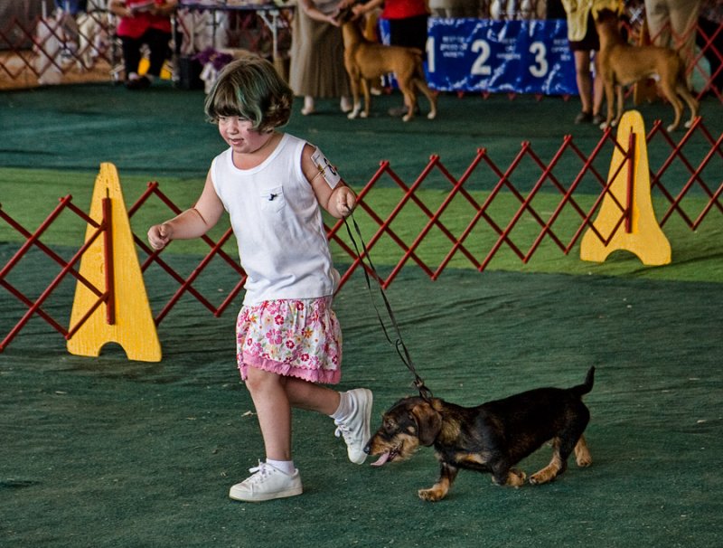 _MG_4847  Very Junior Handler