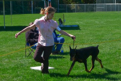 P1000832 Junior Handler.jpg