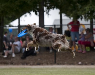 _MG_9068 Flying