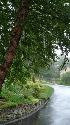 P1050824 Driveway in the Rain