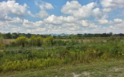 20120912_133743_HDR Dog Park View