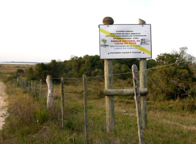 Rufous Hornero (ovenbird) nest