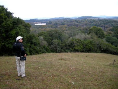 Braulio (our guide) looking at a Red-spectacled Parrot