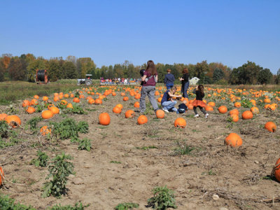 IMG_6738.jpg