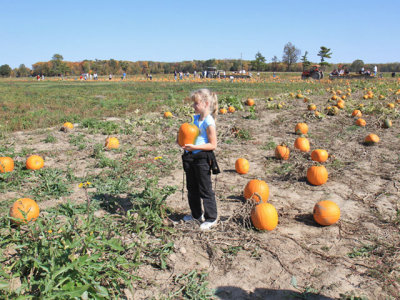 IMG_6775.jpg
