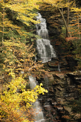 Ganoga Falls