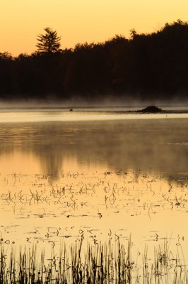 Sunrise on Lake Jean