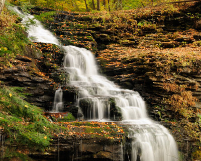 Ganoga Falls