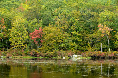 Lake Nawahunta