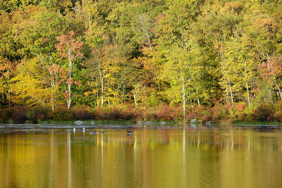 Lake Nawahunta