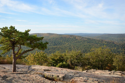 Bear Mountain view