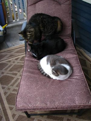 I'm just re-positioning myself. We really need the soft surfaces more than humans do.
