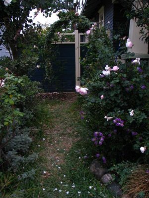 Through the garden gate.