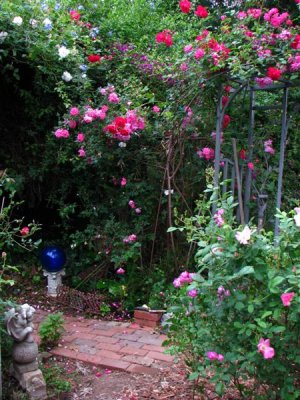 A plain brick path through a garden, my favorite