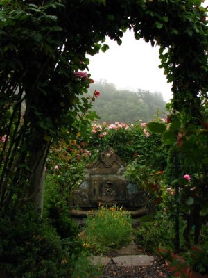 A Mendocino Garden, 2008