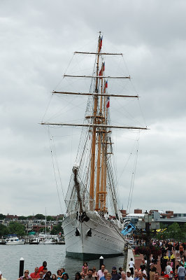 DSC_7049.JPG