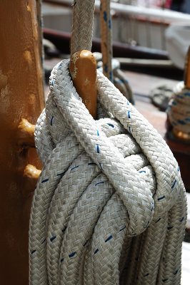 DSC_7098.JPG