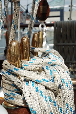 DSC_7099.JPG