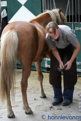 Hoefsmederij Flaton