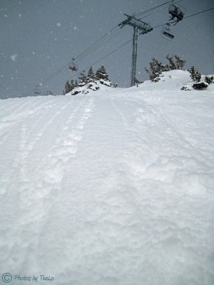 Fresh powder