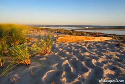 Cape Cod 2009