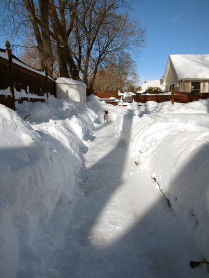 Blizzard of 2010