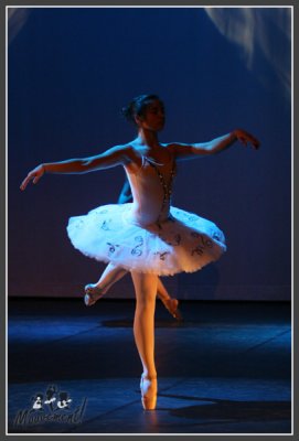 080208-0266.jpg
