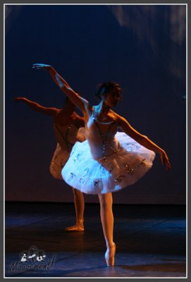 080208-0275.jpg
